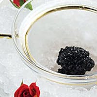 Maison de Caviar Beluga
