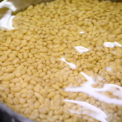 吟味を重ねた素材と、職人の心と技で作る自社工場生まれのうかい豆腐
