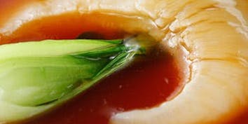 【宴会Bプラン】フカヒレの煮込みや牛サーロイン含む本格上海料理7品 - 中国料理 小楠国