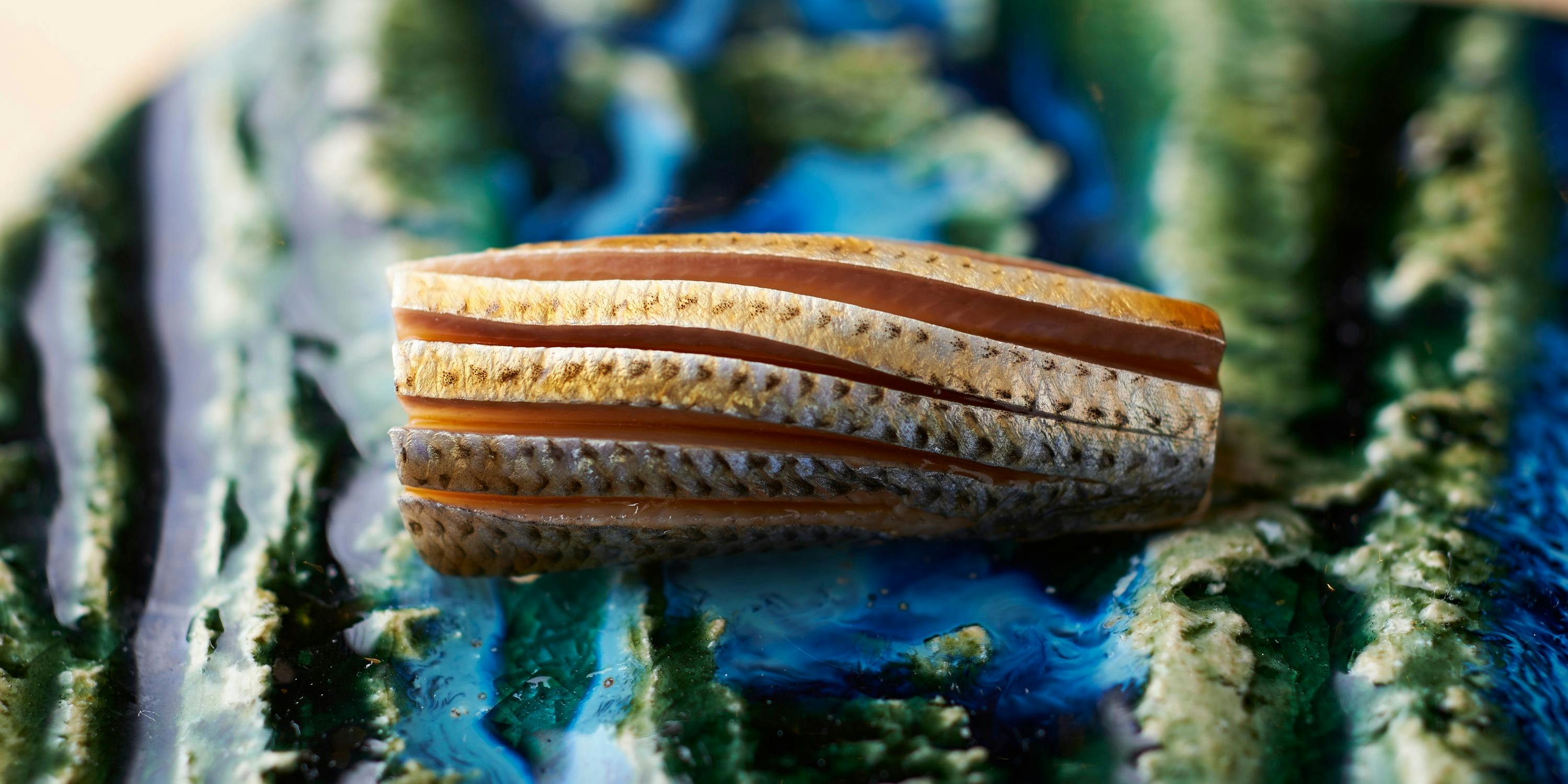 銀座とざき - 画像14