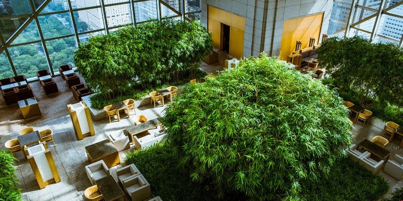 新宿中央公園周辺グルメ おしゃれで美味しい レストランランキング 30選 一休 Comレストラン