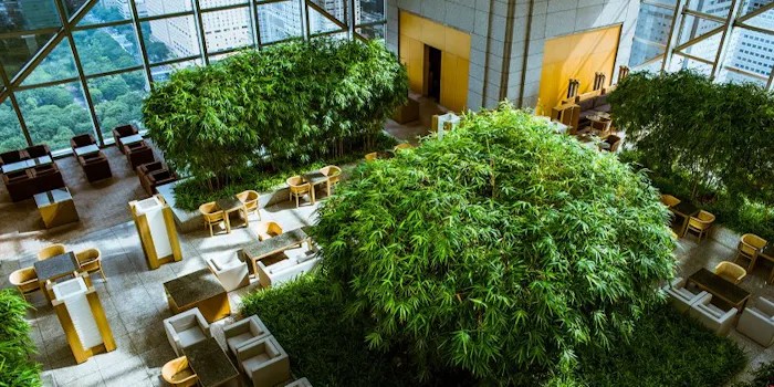 新宿中央公園周辺グルメ おしゃれで美味しい レストランランキング 30選 一休 Comレストラン 新宿中央公園周辺グルメ おしゃれで美味しい レストランランキング 30選 一休 Comレストラン