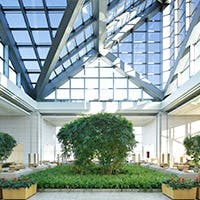 東京上空に広がる開放感に満ちた空間