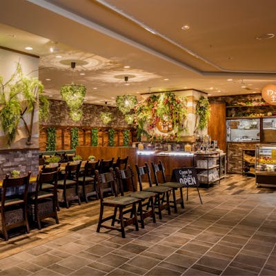 森の中にいるような店内は、とても落ち着くリラックス空間