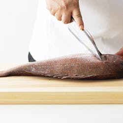 ランチ 西梅田 禅園 ニシウメダ ゼンエン 梅田 日本料理 懐石料理 一休 Comレストラン ランチ 西梅田 禅園 ニシウメダ ゼンエン 梅田 日本料理 懐石料理 一休 Comレストラン