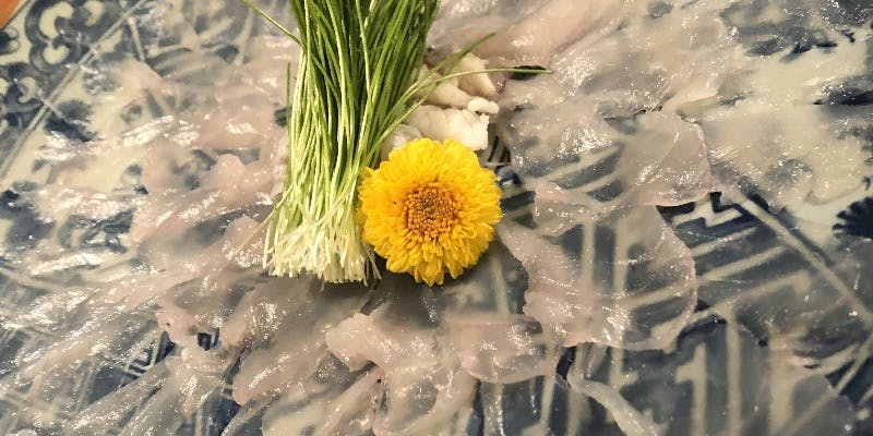 【新春特別コース】泳ぎとらふぐ贅沢てっちり会席