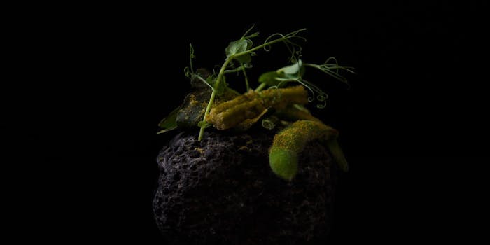 六本木の誕生日でおすすめレストラントップ 一休 Comレストラン 六本木の誕生日でおすすめレストラントップ 一休 Comレストラン