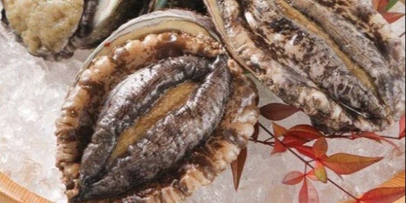 喜扇亭 名古屋ミッドランドスクエア店／ミッドランドスクエア41F - 画像11