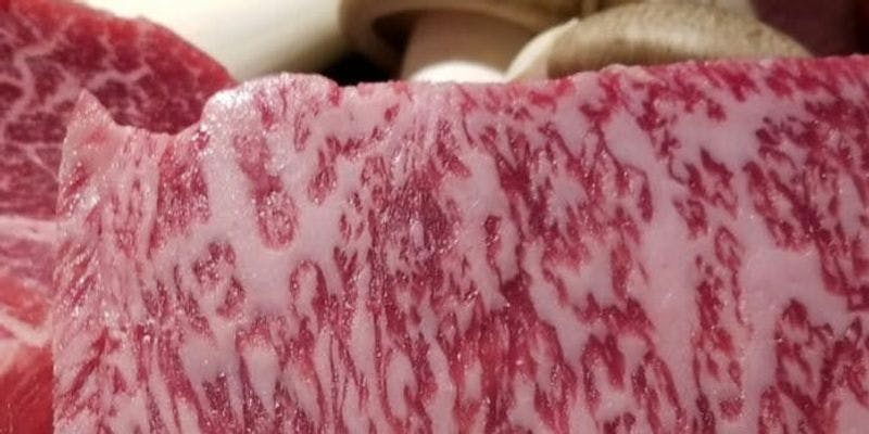 【贅沢三昧コース】鴨フォアグラ×活きアワビ×活き伊勢海老1尾×Aランクシャトーブリアンなど全10品