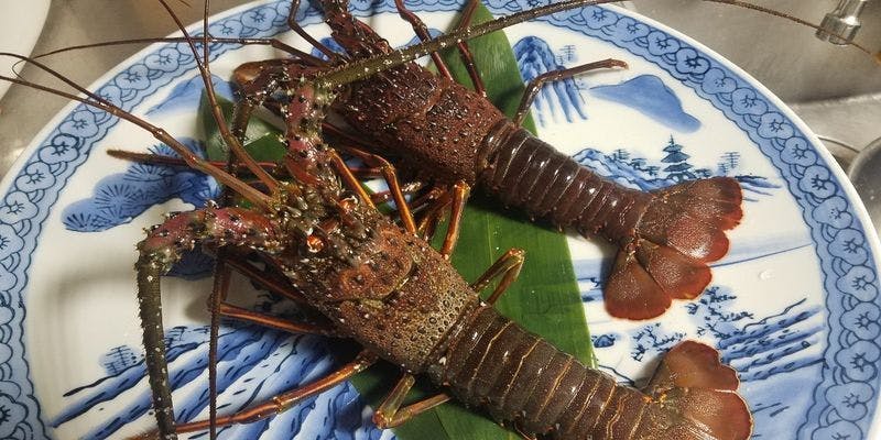 【活き伊勢海老＆シャトーブリアンコース】活き伊勢海老丸々1尾×Aランクシャトーブリアン×豪華全8品