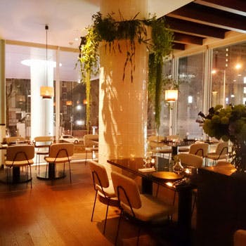 �v�����摜