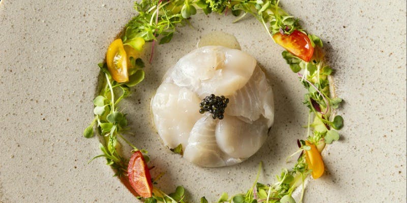 2025お台場レインボー花火を楽しむディナーコース（グラスシャンパン付き）