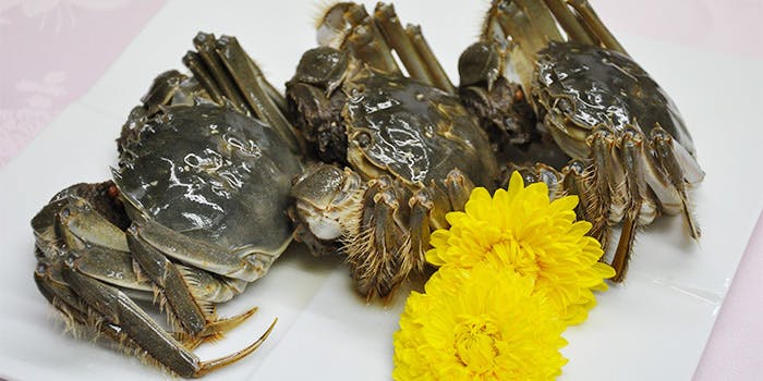 古月（コゲツ）