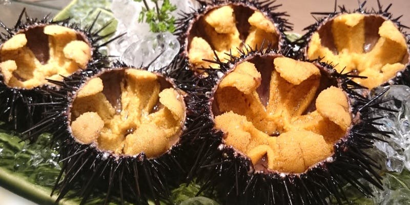 【胡蝶】本日の特選素材にてご提供 ＋選べる乾杯酒