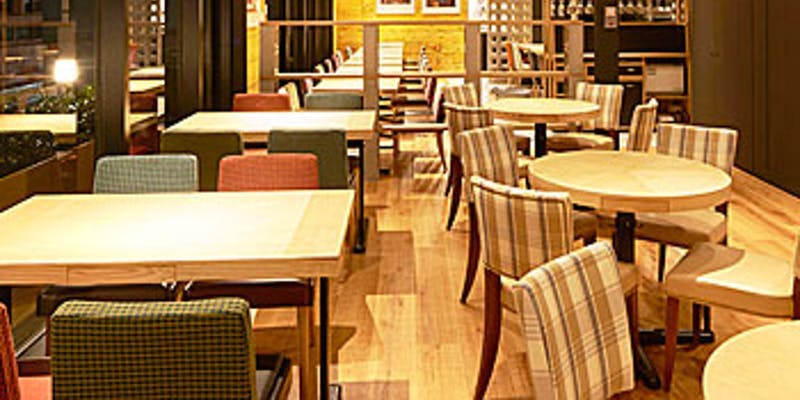 【忘年会】お手軽！！チキン＆ポークのWメイン全8品　ビール付き2時間制コース（12月限定コース）