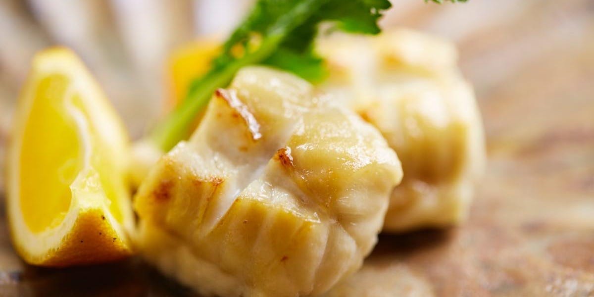 ランチ 臼杵ふぐ 山田屋 丸の内 ウスキフグ ヤマダヤ マルノウチ 丸の内 ふぐ 日本料理 一休 Comレストラン ランチ 臼杵ふぐ 山田屋 丸の内 ウスキフグ ヤマダヤ マルノウチ 丸の内 ふぐ 日本料理 一休 Comレストラン