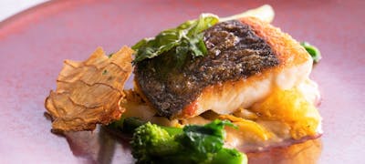 東灘周辺の美味しいランチ30店 おしゃれ人気店 絶品ランチグルメ 22年 一休 Comレストラン 東灘周辺の美味しいランチ30店 おしゃれ人気店 絶品ランチグルメ 22年 一休 Comレストラン