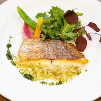 浜松町 ランチビュッフェ 45選 美味しいものを思う存分に 女子会ランチ 子連れにおすすめ Okaimonoモール レストラン