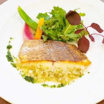 浜松町 ランチビュッフェ 45選 美味しいものを思う存分に 女子会ランチ 子連れにおすすめ Okaimonoモール レストラン 浜松町 ランチビュッフェ 45選 美味しいものを思う存分に 女子会ランチ 子連れにおすすめ Okaimonoモール レストラン