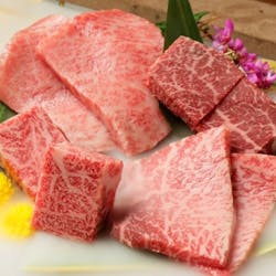 天下一の焼肉 将泰庵 はなれ 船橋駅前店 テンカイチノヤキニク ショウタイアン ハナレ フナバシエキマエテン 船橋 焼肉 一休 Comレストラン 天下一の焼肉 将泰庵 はなれ 船橋駅前店 テンカイチノヤキニク ショウタイアン ハナレ フナバシエキマエテン 船橋 焼肉 一休 Comレストラン