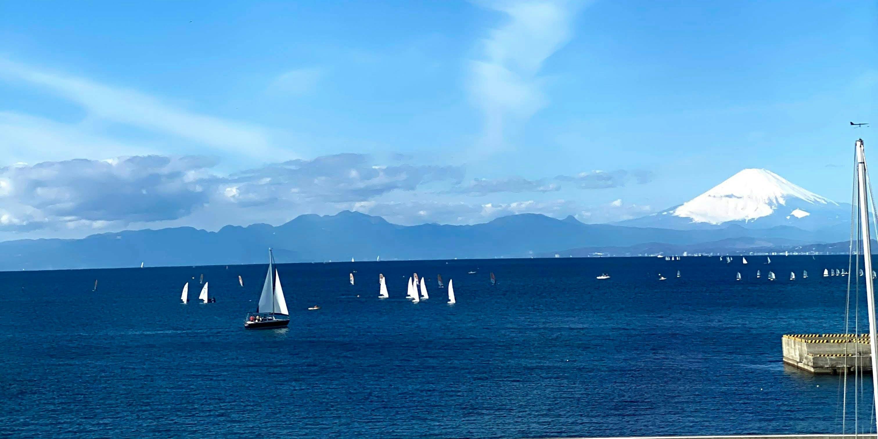 青羅（セイラ）