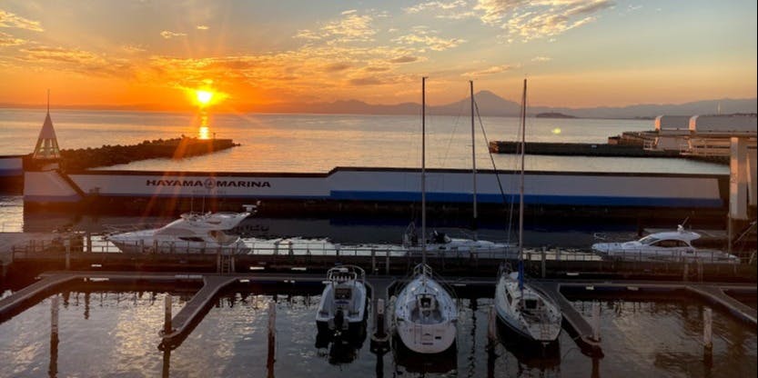 青羅（セイラ）