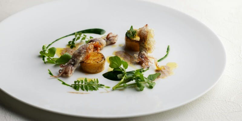 �r���[&�_�C�j���O �R�g�V�G�[���^�z�e���O�������B�A���s15F