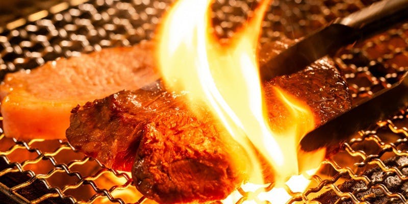 【7品11,000円肉だらけコース】