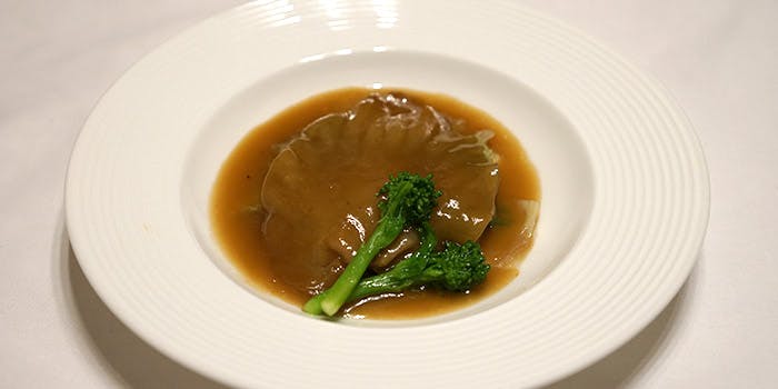 菩提樹（ボダイジュ）