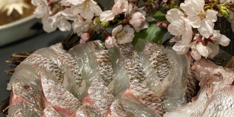 【4月限定】天然桜鯛コース！寿司、造り、天ぷら、しゃぶしゃぶ、お茶漬けなど全7品