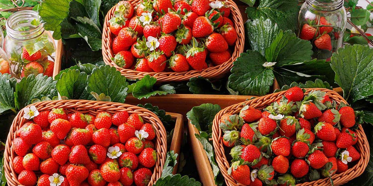 ブッフェダイニング アーカラ Akala ザ パーク フロント ホテル アット ユニバーサル スタジオ ジャパン バイキング 一休 Comレストラン