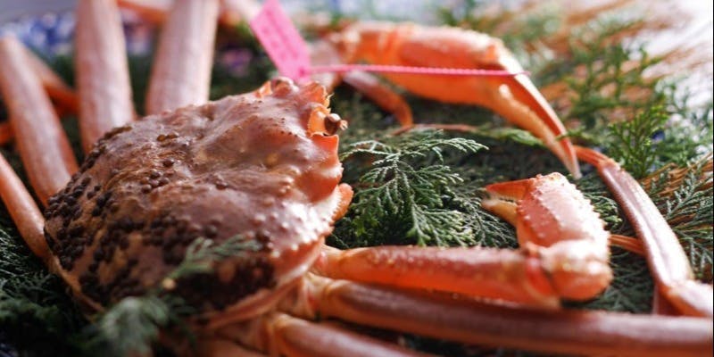 ＜特選＞タグ付 ブランド活ズワイ蟹コース（個室・半個室確約）