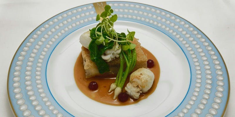 平目紋甲烏賊マイクロカブ