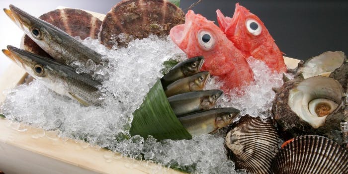 赤坂 ひかわ - 画像6