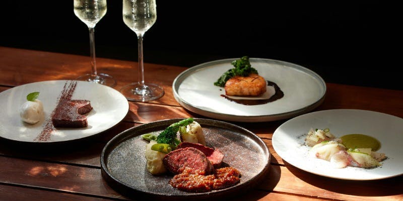 【贅沢Wメイン】魚＆肉の特選グリルを楽しむ 4品	