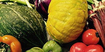 バー アンド ダイニング ペルティカ - 画像16