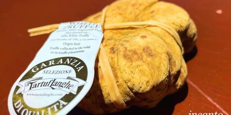 【Menu Tarttufo Bianco】　期間限定、最高級白トリュフを存分にご堪能いただくコース