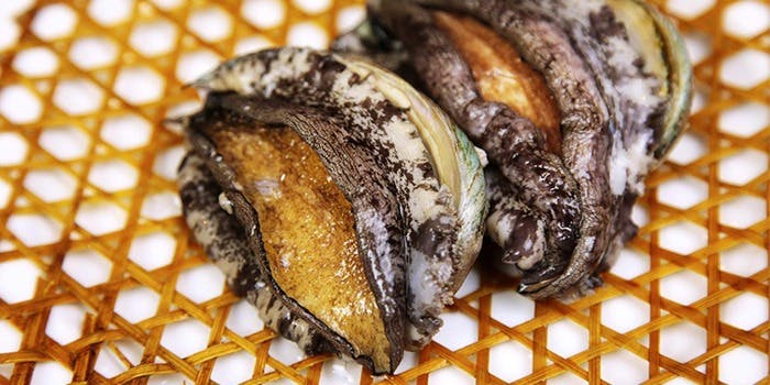 左舞璃菜 鳳（サブリナホウ）