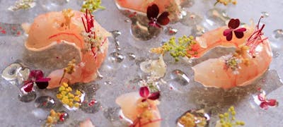 代官山駅周辺ランチ22 おすすめ 絶品お昼ごはん22選 一休 Comレストラン 代官山駅周辺ランチ22 おすすめ 絶品お昼ごはん22選 一休 Comレストラン