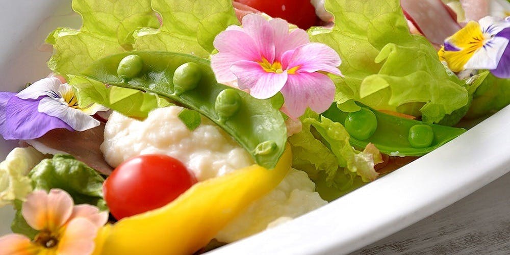 ダイニング バー ベイサイド ダイニング アンド バー ベイサイド ヨコハマサクラギチョウワシントンホテル 横浜桜木町ワシントンホテル 洋食 一休 Comレストラン