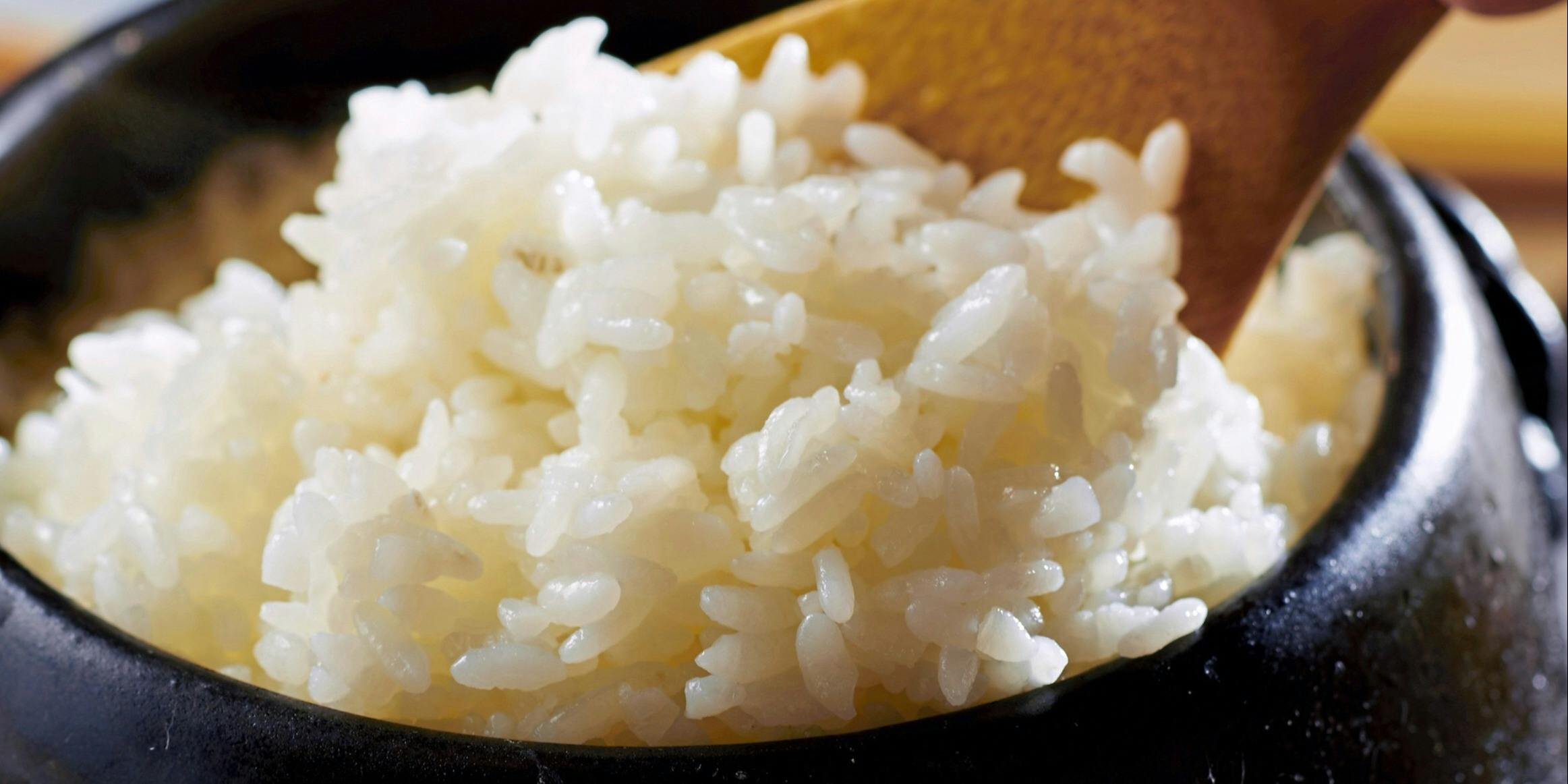正しい晩ごはん 白 タダシイバンゴハン ハク 池袋 割烹 小料理 一休 Comレストラン 正しい晩ごはん 白 タダシイバンゴハン ハク 池袋 割烹 小料理 一休 Comレストラン