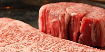 DANTE（テッパンヤキ・ダンテ）