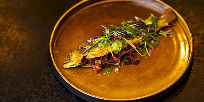 エチョラ Etxola 本町 スペイン料理 一休 Comレストラン