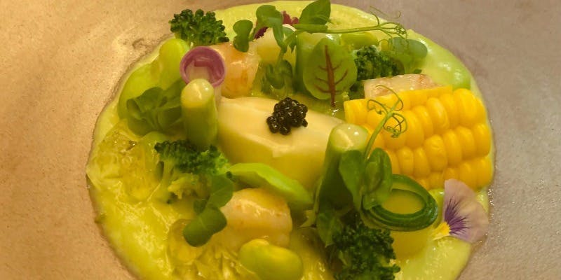 ヴィーガン＜Vegan  GlutenFree＞ディナーコース＋乾杯Drink付