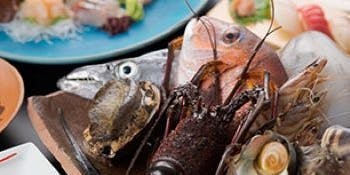 和食 浜木綿（はまゆう）