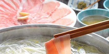 Suginoko 青山店（すぎのこ）