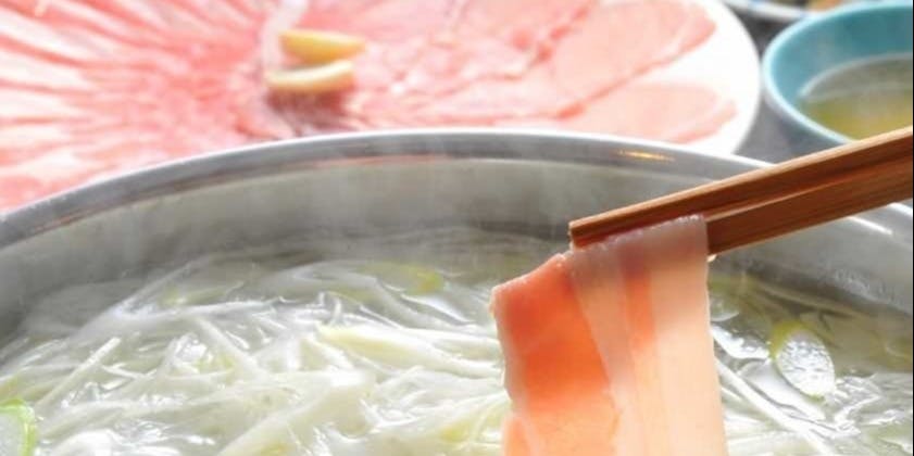 Suginoko 青山店（すぎのこ）