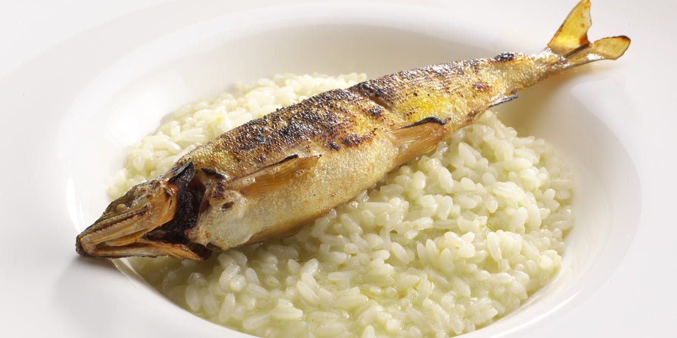 RISTORANTE IL PRESIDENTE（リストランテ イル プレジデンテ）