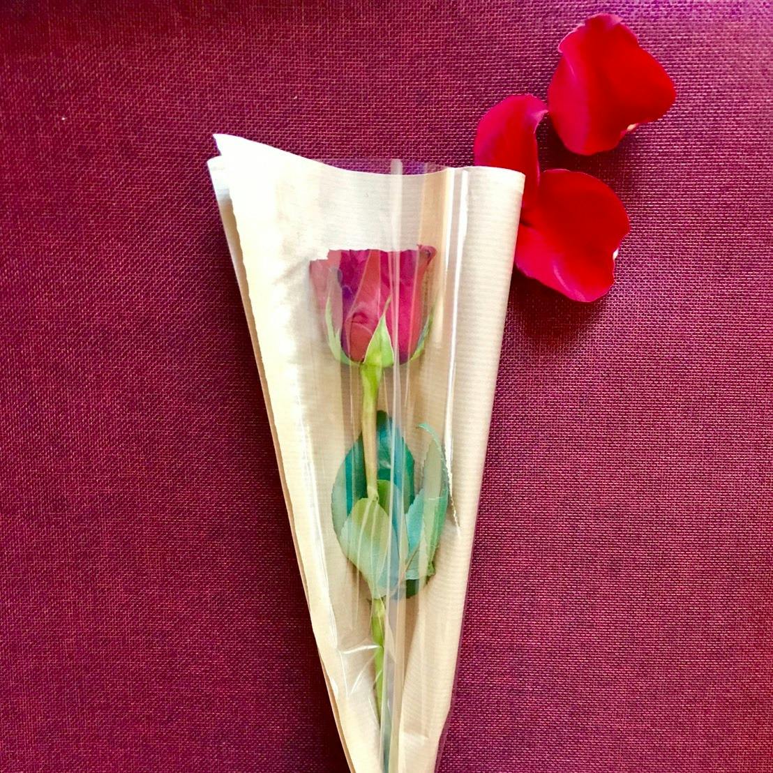 【ロマンチックなサプライズ演出！】一輪の赤いバラ(生花)