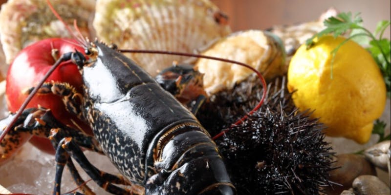 【アラカルト（席のみ）プラン】ディナー